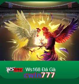 cwin777